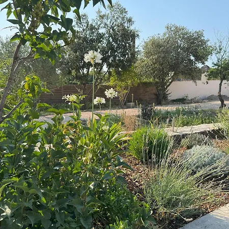 Maison Casamande & - Luxe Et Serenite Dans Un Domaine D'amandiers 4*