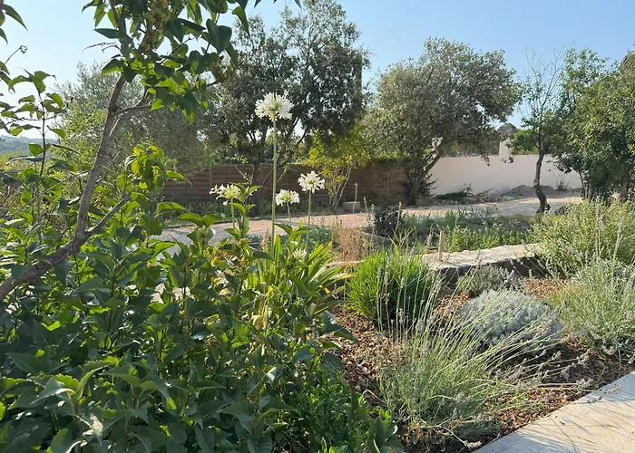 Maison Casamande&spa - Luxe Et Sérénité Dans Un Domaine D'amandiers 3*